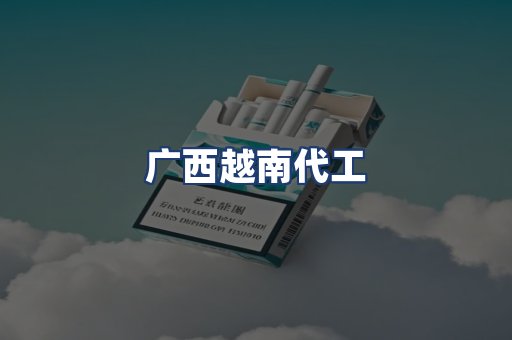 广西越南代工